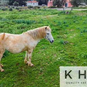 https://leos-stone-made-villa.kefaloniahotels.net